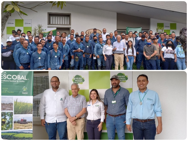 El ICA certificó en BPA predio productor de arroz y caña panelera en el Tolima 