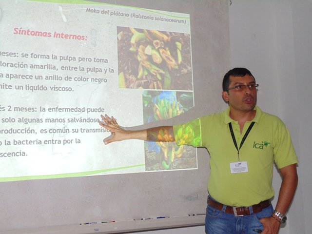 El ICA capacitó a productores de plátano de la Costa Pacífica nariñense