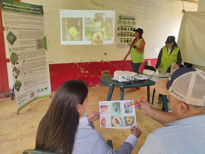 ICA-VALLEDELCAUCA-2492025.jpeg