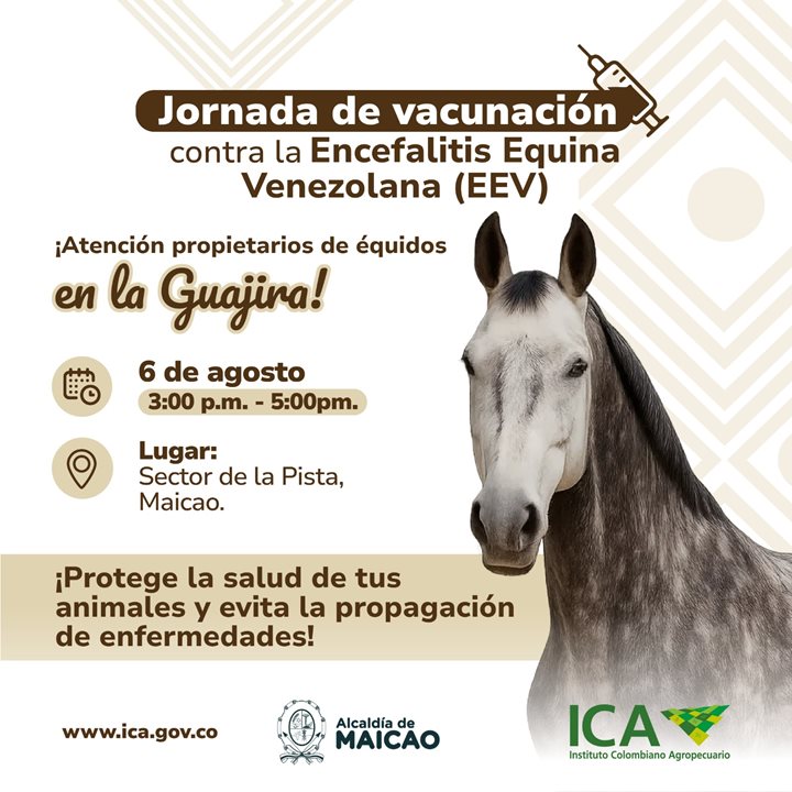 VACUNACION-GUAJIRA.jpeg