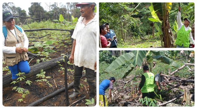 collage-fotos-ICA-productores-vaupes.jpg