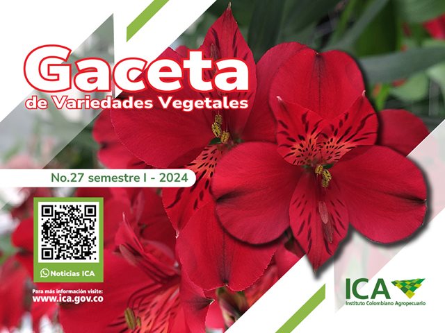 Caratula Gaceta 