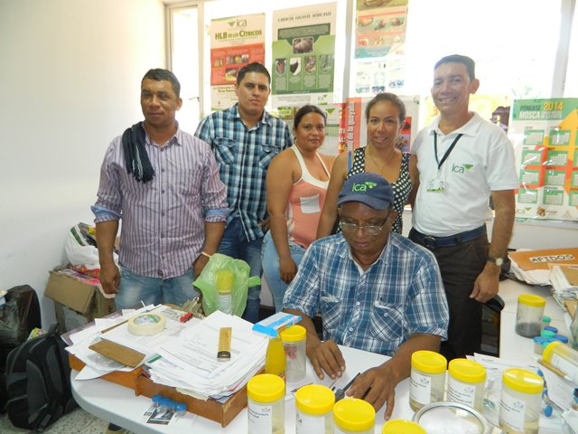 El ICA  capacita  en moscas de la fruta y trampeo a empresa productora de piña del sur del Cesar