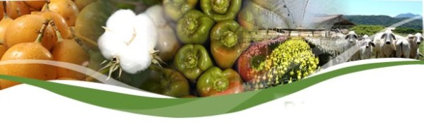 ICA habilita foro virtual para el manejo del nuevo SISPAP