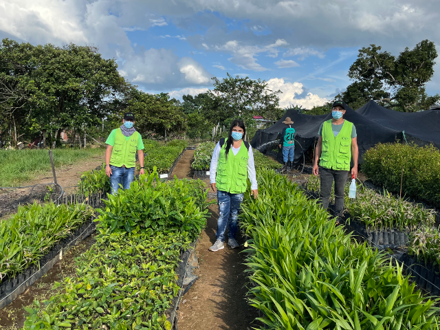 Actualización de registros para productores, distribuidores y comercializadores de material de propagación vegetal en Guaviare
