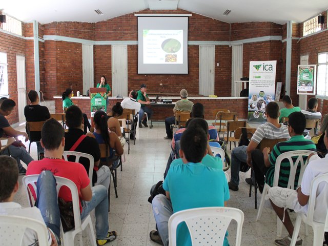El ICA se reúne con docentes y estudiantes agrícolas de Roldanillo para socializar el Plan Nacional Mosca de la Fruta