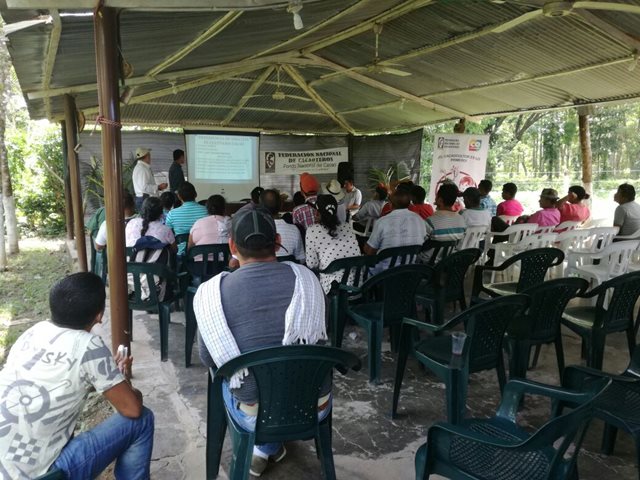 Cacaoteros de Arauca certificados en manejo y aplicación de insumos agrícolas
