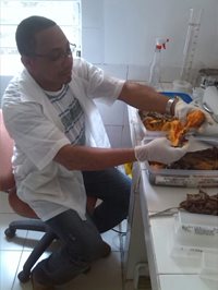 Foto-Bolivar-02.jpg