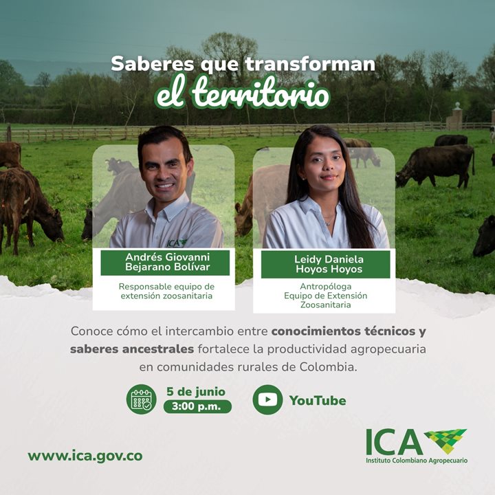 ICA-INNOVA.jpeg