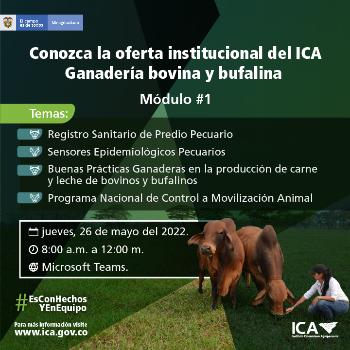 InvitacionBovina_Mailing.jpg