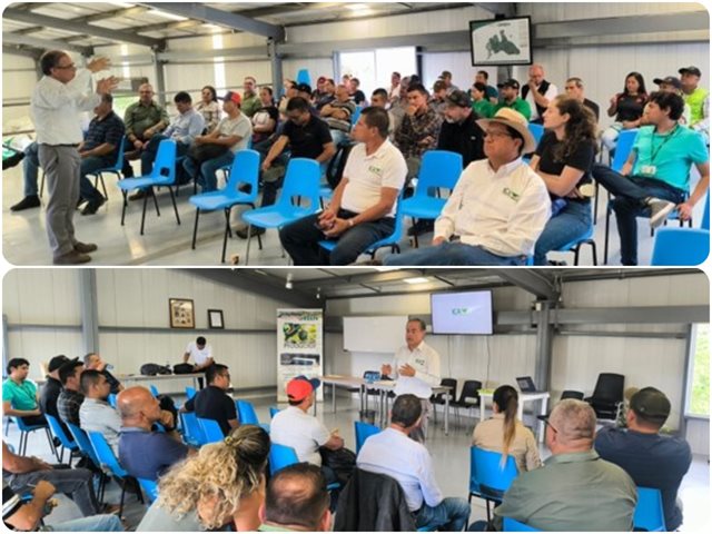 Mesa fitosanitaria realizada con productores de los departamentos de Caldas y Risaralda