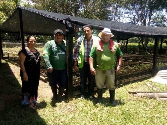 El ICA trabaja por la sanidad de las especies forestales nativas del Caquetá