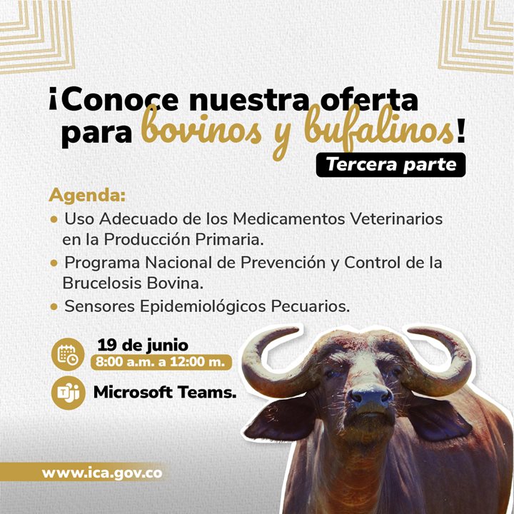 Oferta-institucional-en-Bovinos-y-Bufalinos-Redes3-1.jpg