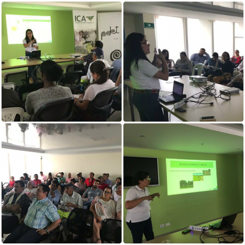 Organizaciones productivas pertenecientes al PDET son capacitadas por el ICA 