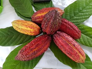 BPA-PUTUMAYO-9.jpg