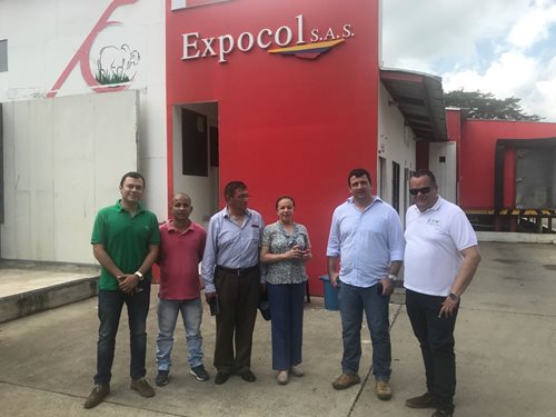 Ovinos-Peru-1.jpg