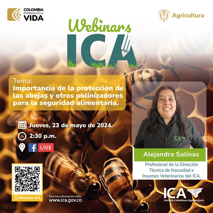 Webinar-abejas_Mesa-de-trabajo-1.jpg