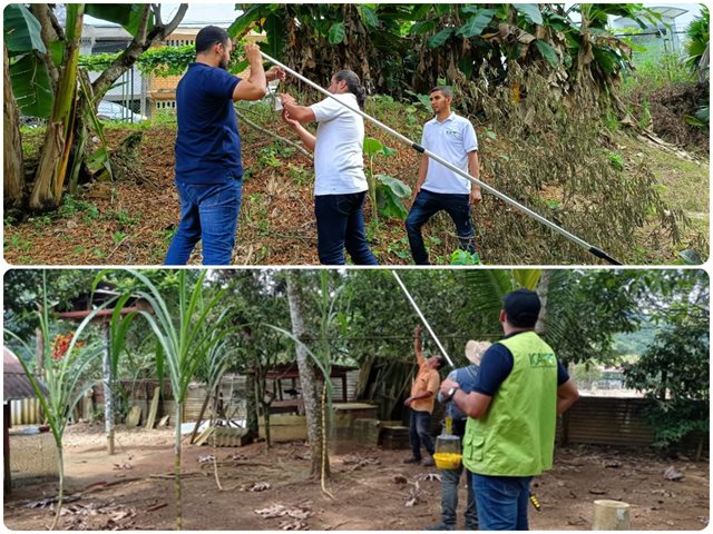 Instalación red de trampeo en Caquetá.