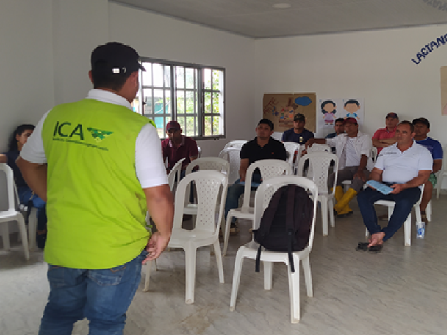 El ICA orientó a productores de Arauca sobre la protección a polinizadores