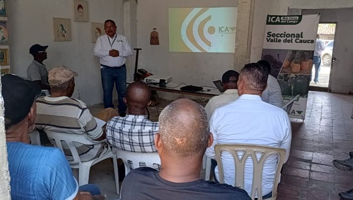 ICA-VALLEDELCAUCA1.jpeg