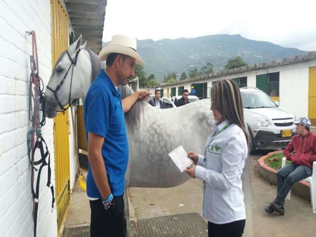 El ICA certificó el ingreso a más de 700 equinos en la XIII exposición mundial equina que culminó con éxito