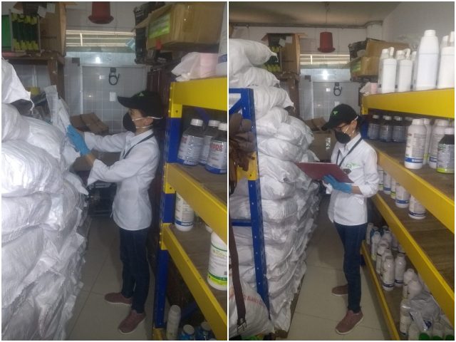 Inspección de comercializadores de semilla.
