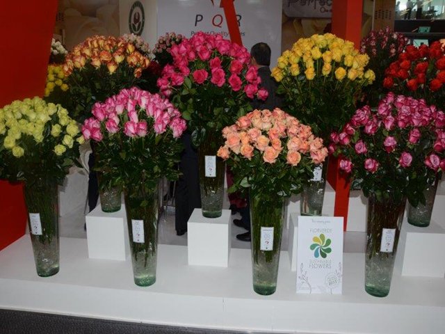 El  ICA acompaña la feria internacional Proflora 2015 en todo el proceso fitosanitario