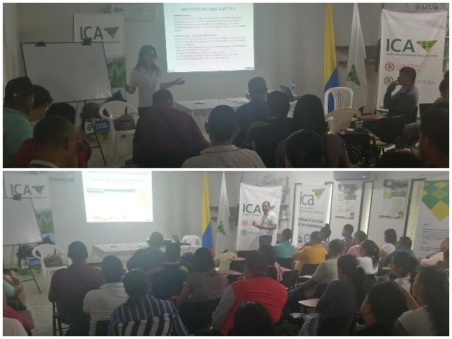 Productores del Putumayo se actualizan con el ICA en  normatividad agropecuaria 