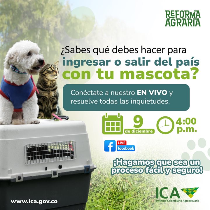 MASCOTAS.JPG