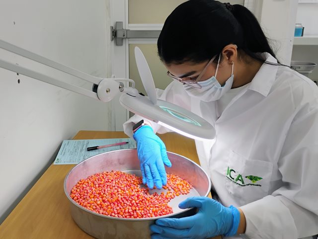 Laboratorio de Análisis de Semillas del ICA, en Palmira. 