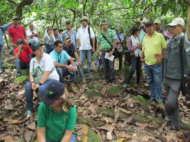 Líderes de cacao del ICA se actualizan para el garantizar el futuro del grano 