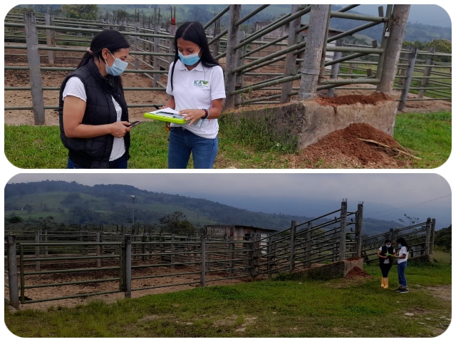 Visita del ICA a planta de beneficio.