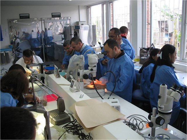 Laboratorios de semillas trabajan en su  acreditación 