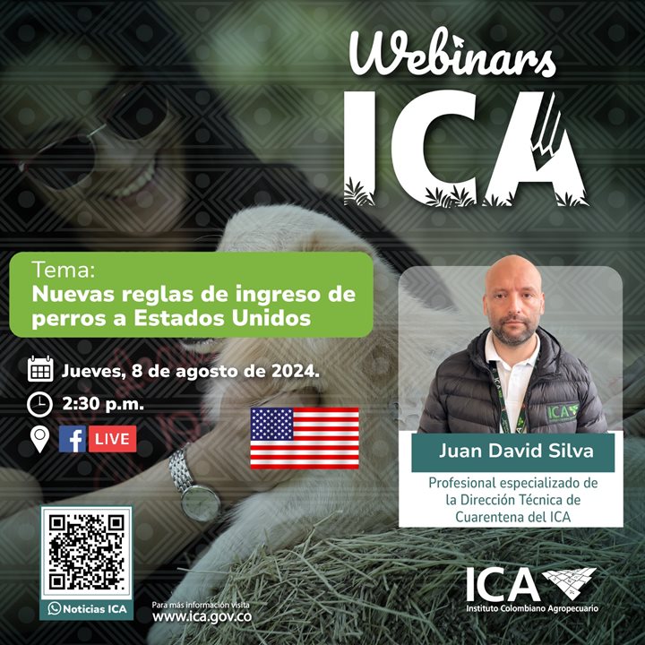 WEBINARS0808.jpg