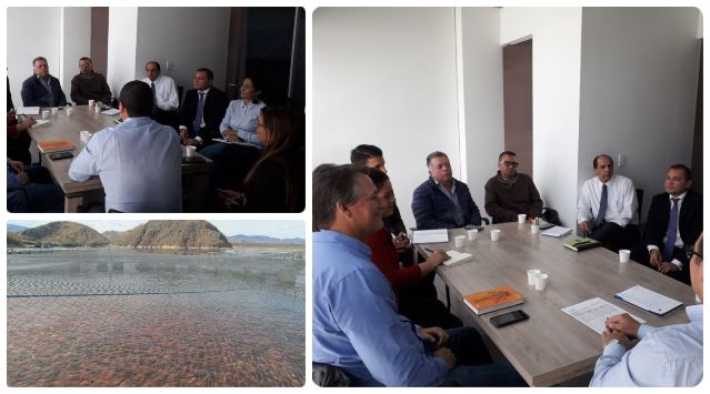 foto-collage-ICA-alevinos-reunion-fedeacua.jpg