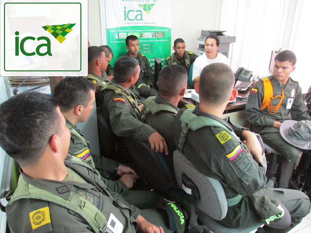 El ICA socializó con integrantes de la Policía Nacional la normatividad para el transporte de madera proveniente de plantaciones forestales.   