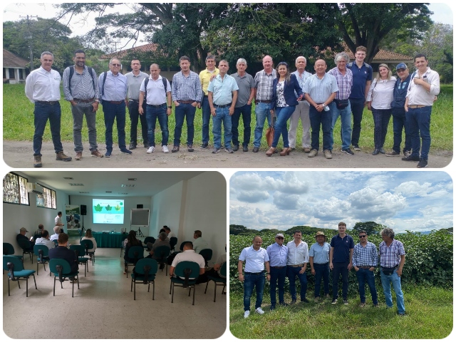 Alianzas que fortalecen el cultivo de algodón en el Valle del Cauca