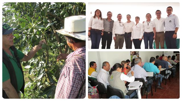fotos-ICA-productores-agropecuarios-quindio.jpg fotos-ICA-productores-agropecuarios-quindio.jpg