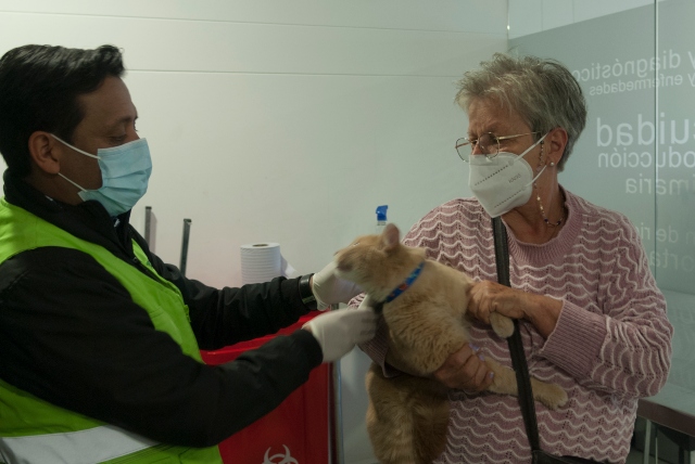 Foto-ICA-Inspeccion-de-mascotas-aeropuerto.jpg Foto-ICA-Inspeccion-de-mascotas-aeropuerto.jpg