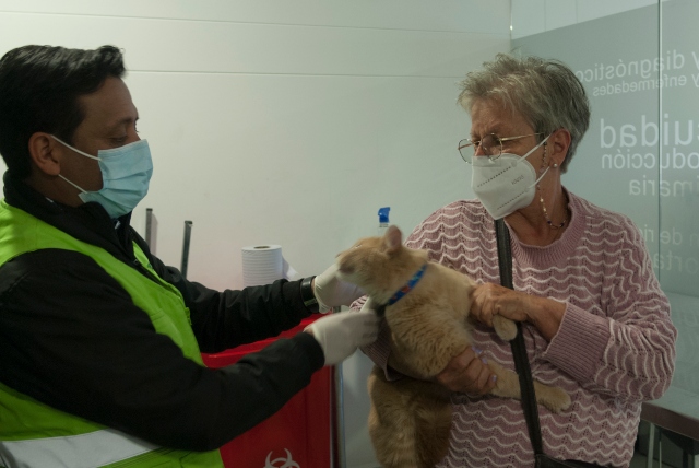 Foto-ICA-Inspeccion-de-mascotas-aeropuerto.jpg