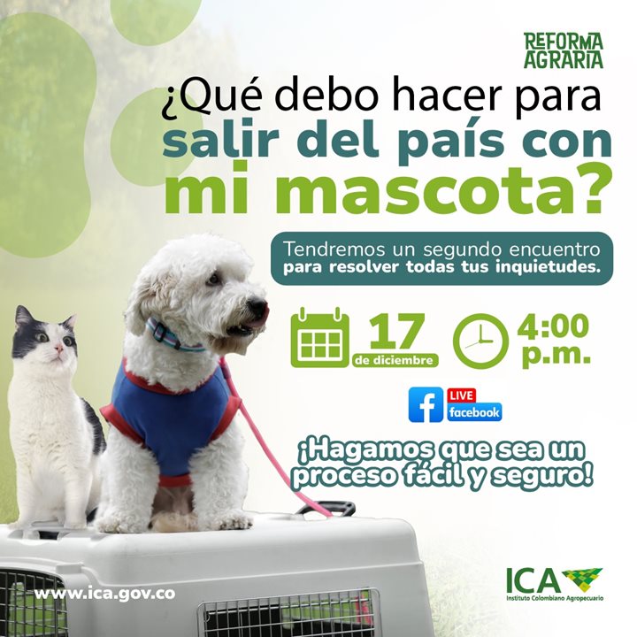 salidaMASCOTAS.jpg