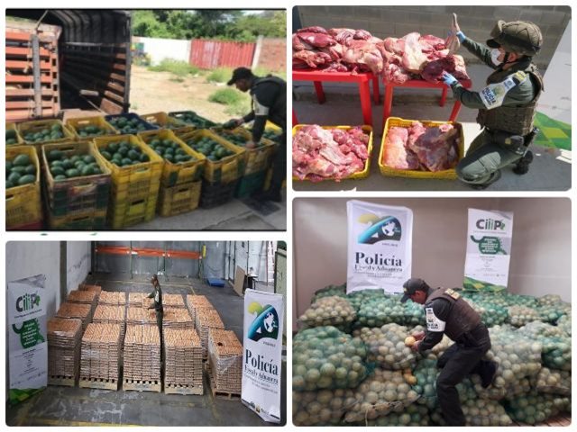Acciones operativas del CIIIP permitieron dar nuevo golpe al contrabando agropecuario en zonas de frontera 