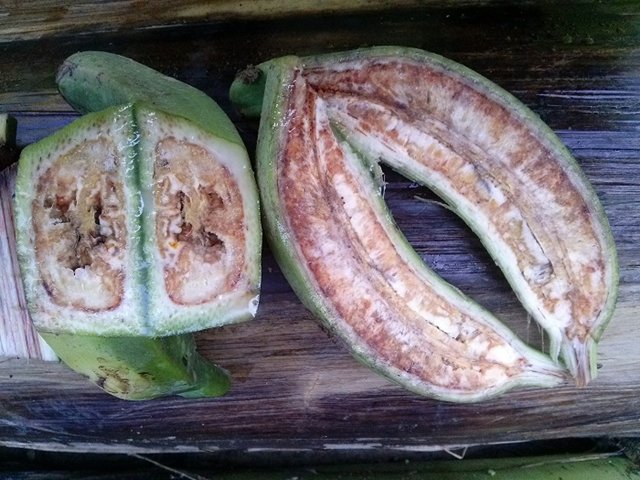 El ICA detecta Moko en cultivos de plátano del Atlántico
