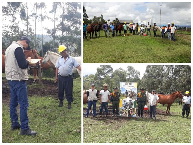 Con trabajo en equipo, el Cauca se protege contra la encefalitis equina venezolana