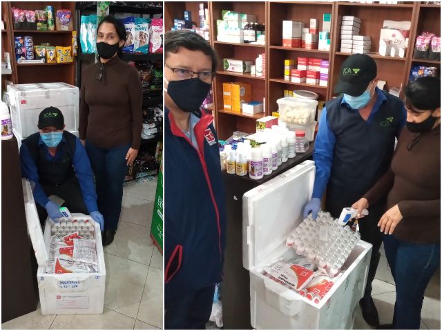 El ICA continúa con la vigilancia activa de enfermedades bovinas en el Caldas