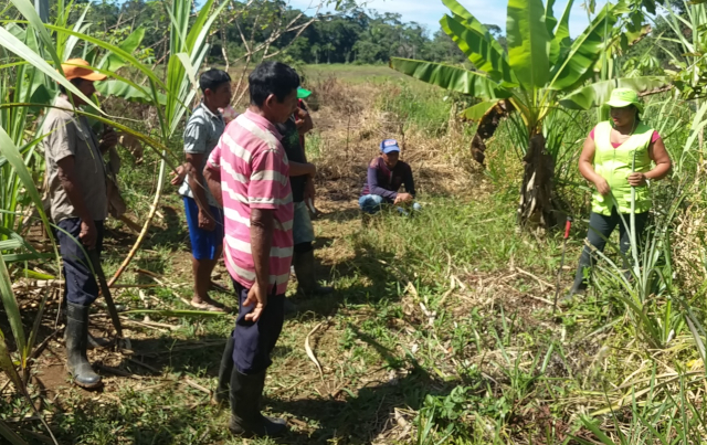  El ICA acompaña a las comunidades indígenas del Vaupés en el fortalecimiento de su producción frutícola 