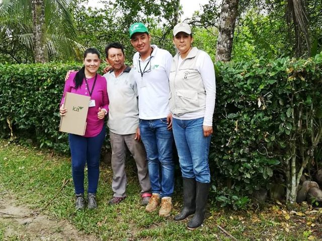 Productores de cacao y plátano de Arauca, le apuestan a certificarse en Buenas Prácticas Agrícolas