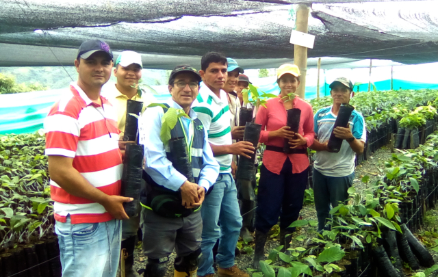 El ICA inspecciona viveros de material vegetal de propagación en Risaralda 
