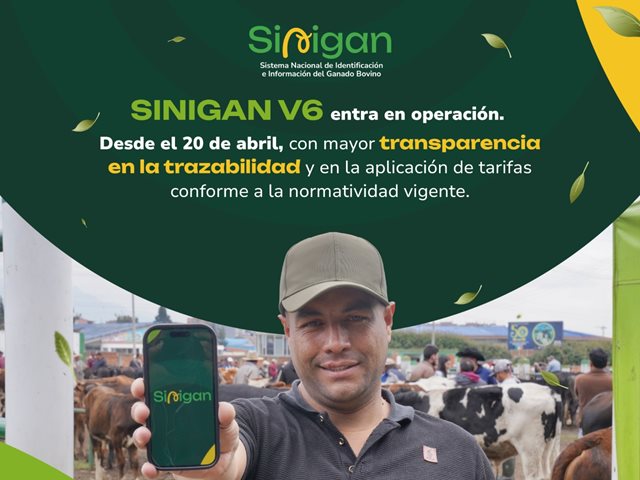 SINIGAN V6.