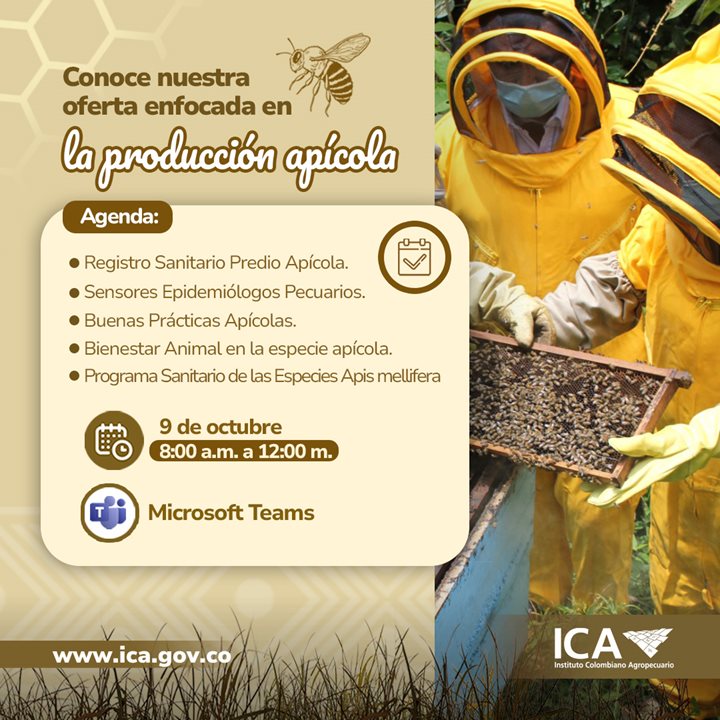 OFERTA-APICOLA-CUADRADA.jpg